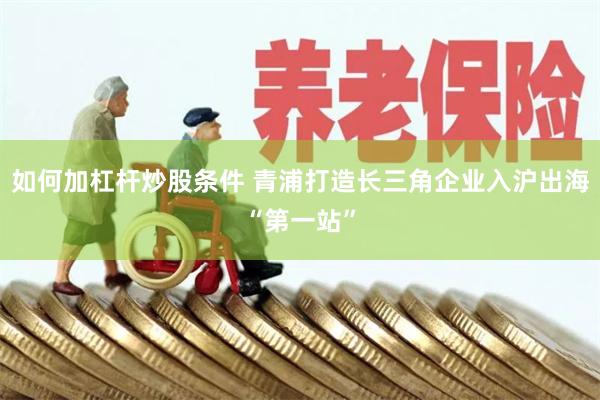 如何加杠杆炒股条件 青浦打造长三角企业入沪出海“第一站”