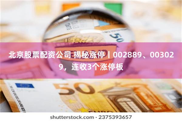 北京股票配资公司 揭秘涨停丨002889、003029，连收3个涨停板